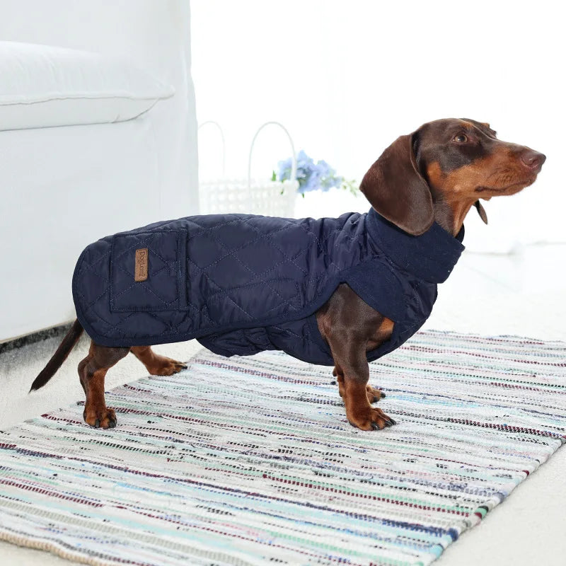 Manteau à carreaux pour teckel – veste d’hiver chaude, confortable et élégante