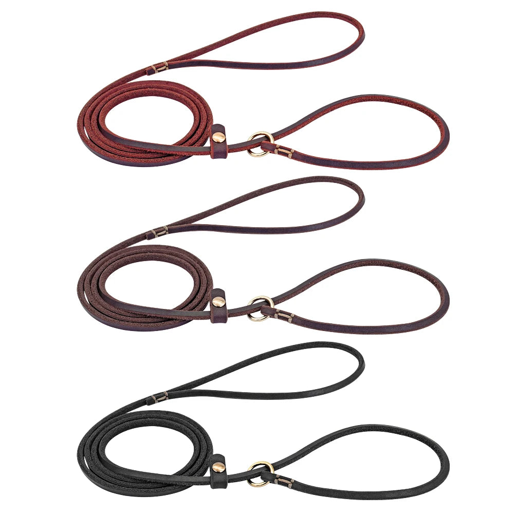 Laisse collier coulissant en cuir pour chien – 125 ou 155 cm – pour teckel et petits chiens