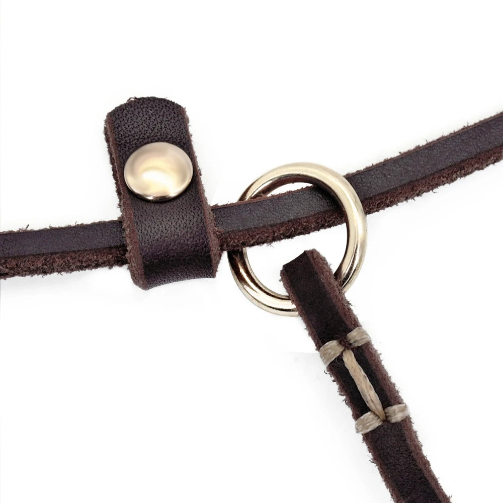 Laisse collier coulissant en cuir pour chien – 125 ou 155 cm – pour teckel et petits chiens