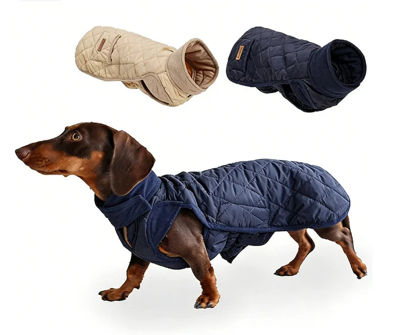 Manteau à carreaux pour teckel – veste d’hiver chaude, confortable et élégante