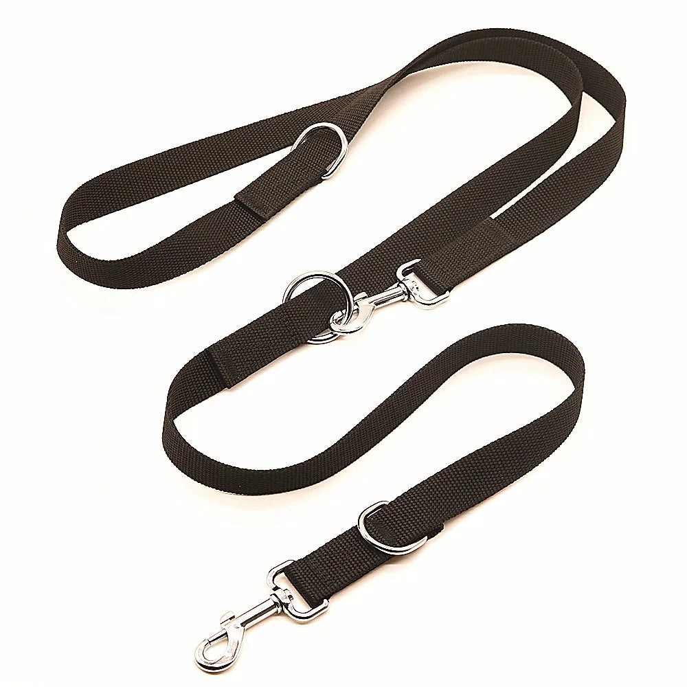 Laisse pour chien réglable 2,5 m à double attache – nylon renforcé pour promenade et entraînement