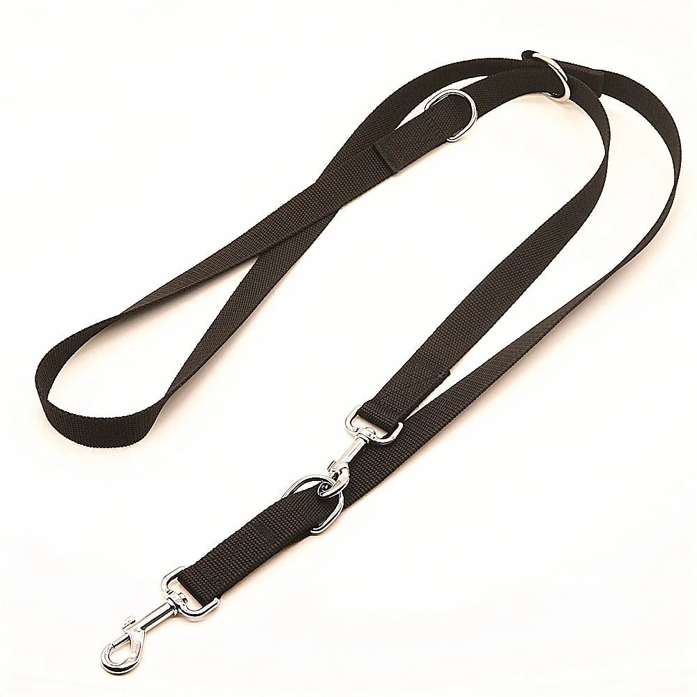 Laisse pour chien réglable 2,5 m à double attache – nylon renforcé pour promenade et entraînement