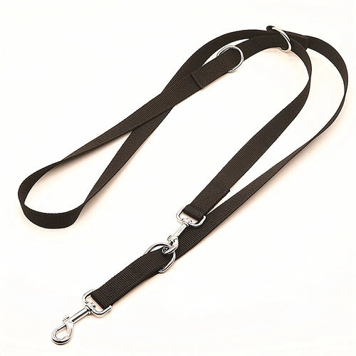 Laisse pour chien réglable 2,5 m à double attache – nylon renforcé pour promenade et entraînement